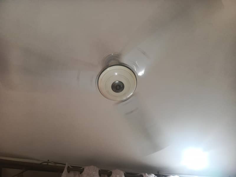 celling fan 1