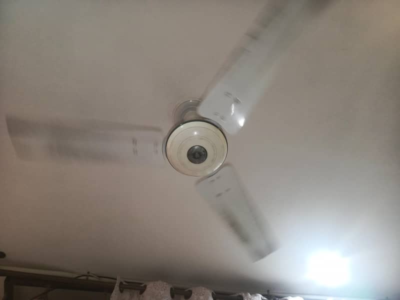 celling fan 2