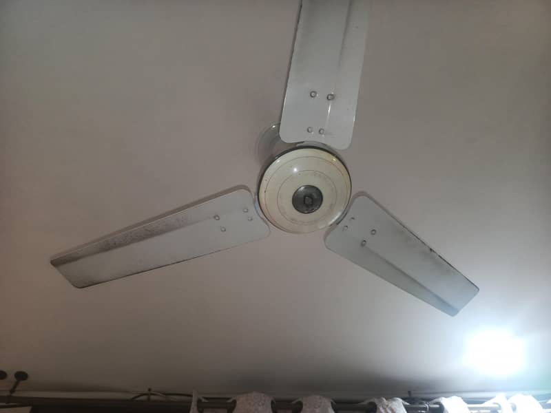 celling fan 3