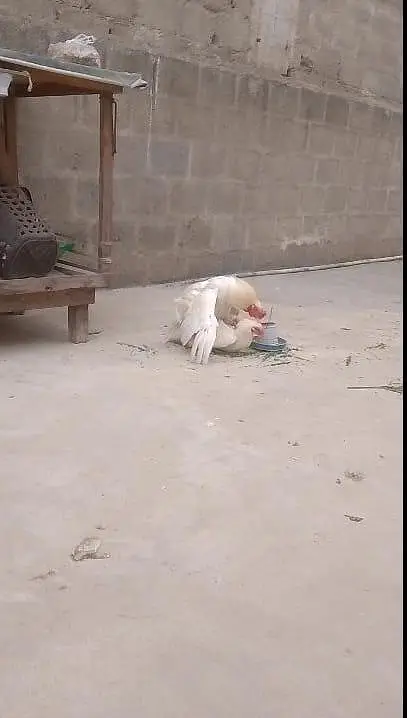 interested person only jisko PATA ho cheez — photo 2
