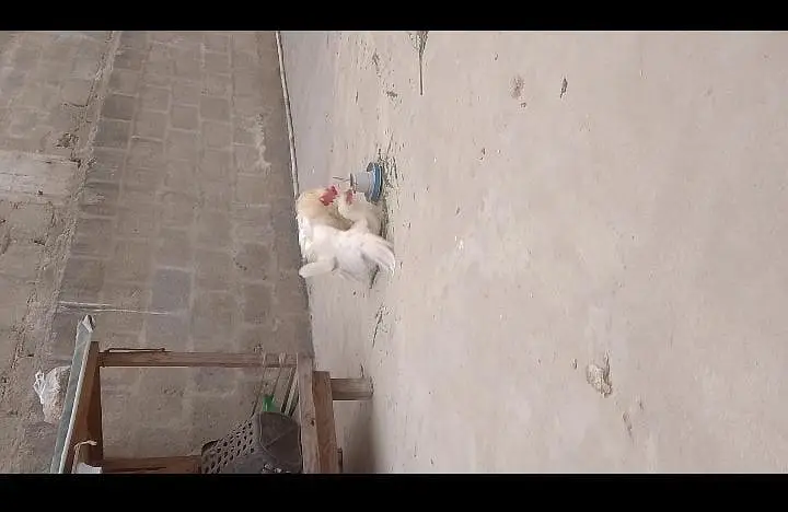 interested person only jisko PATA ho cheez — photo 3
