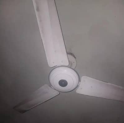 fan behtren