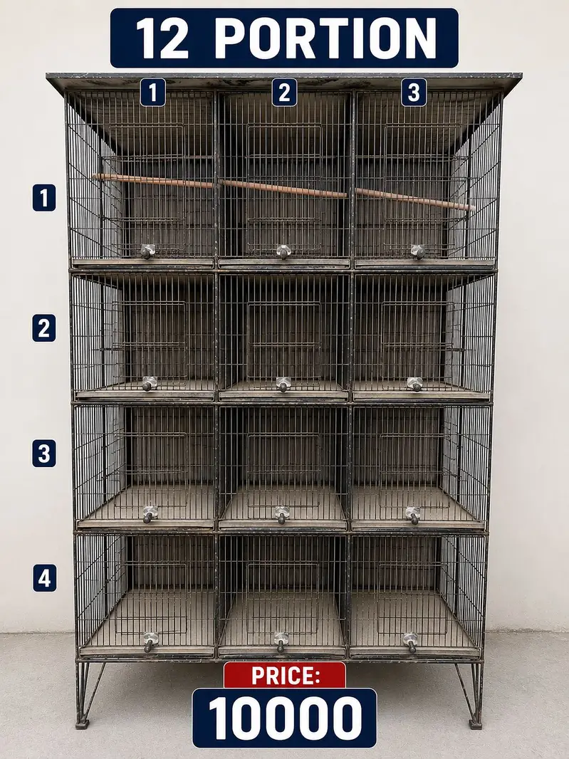 Cages For Sale — photo 3