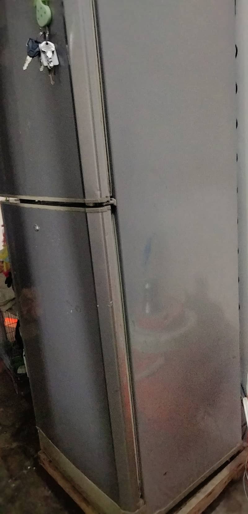 Pel Refrigerator 5