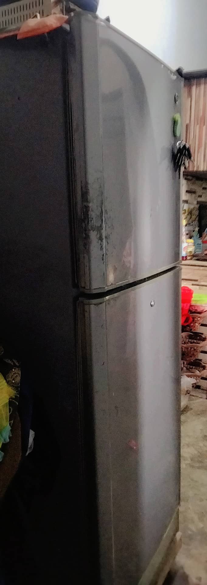 Pel Refrigerator 6