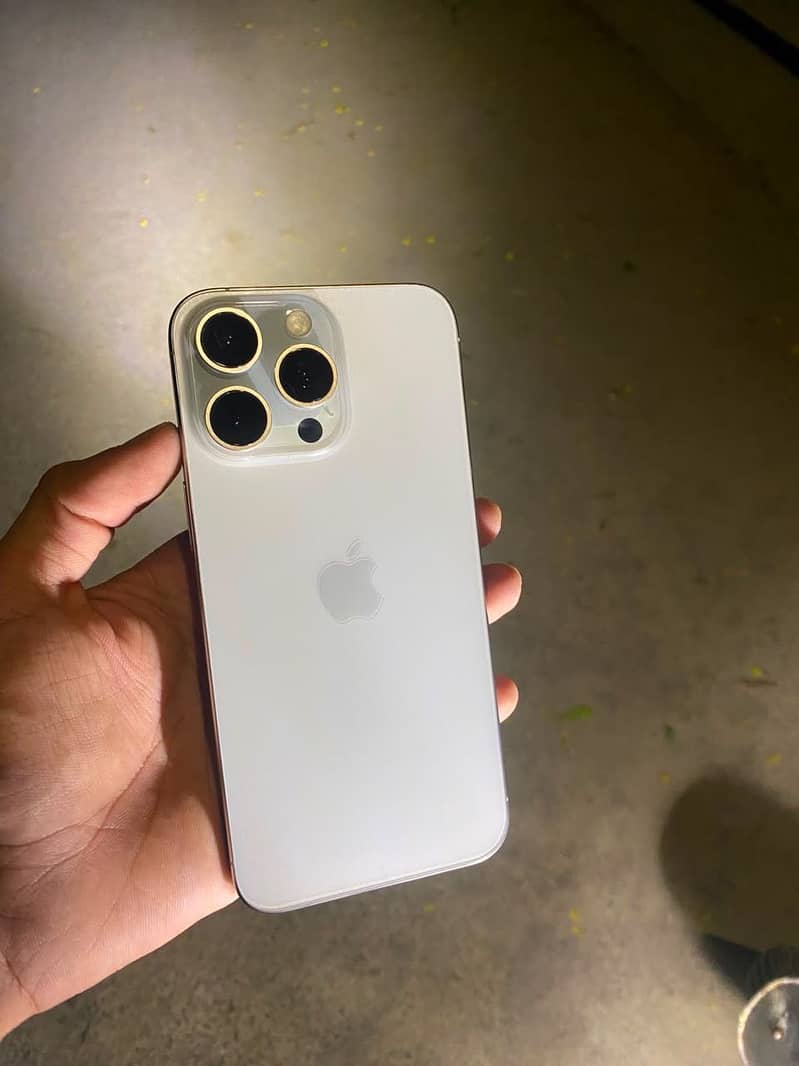 Apple iPhone 15 Pro Max 1