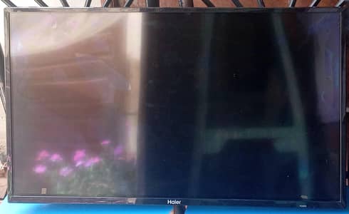 Haier LE32K6000 32" — No Power | Panel Damage | Complete Parts