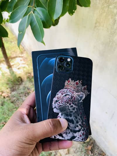 Apple iPhone 12 Pro