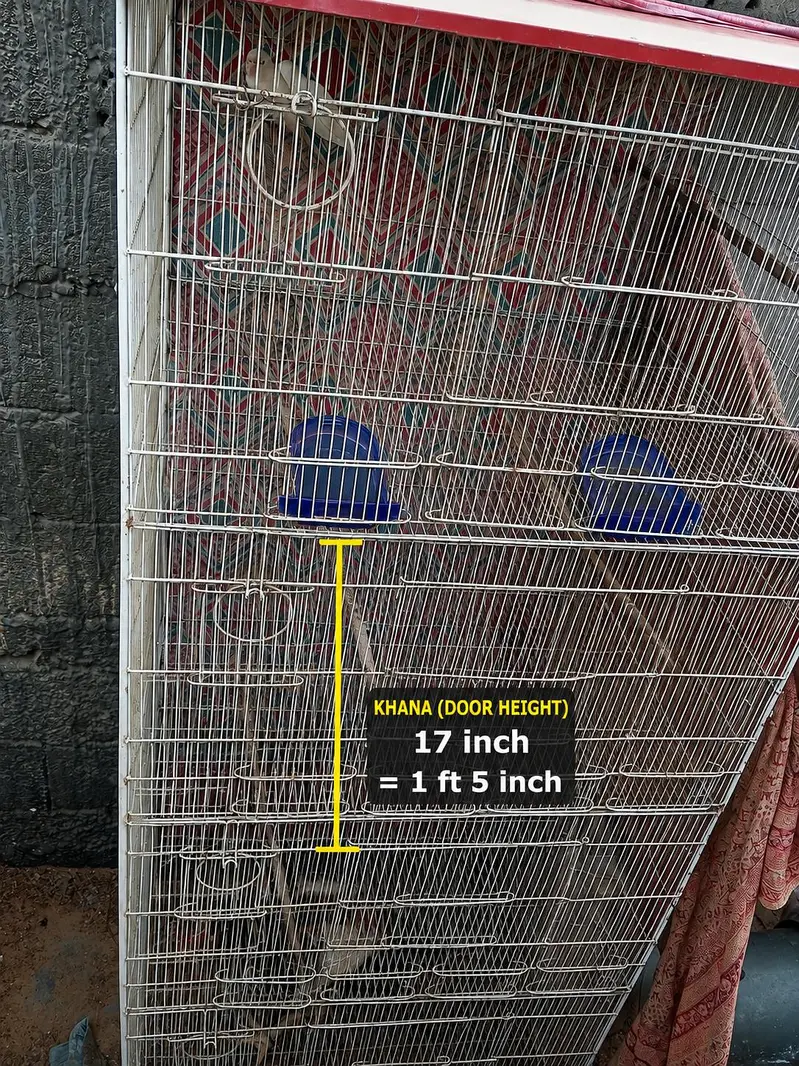 Love Bird Cage