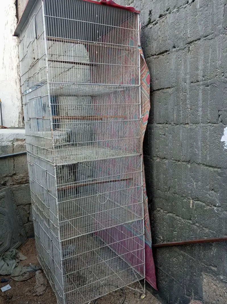 Love Bird Cage — photo 3
