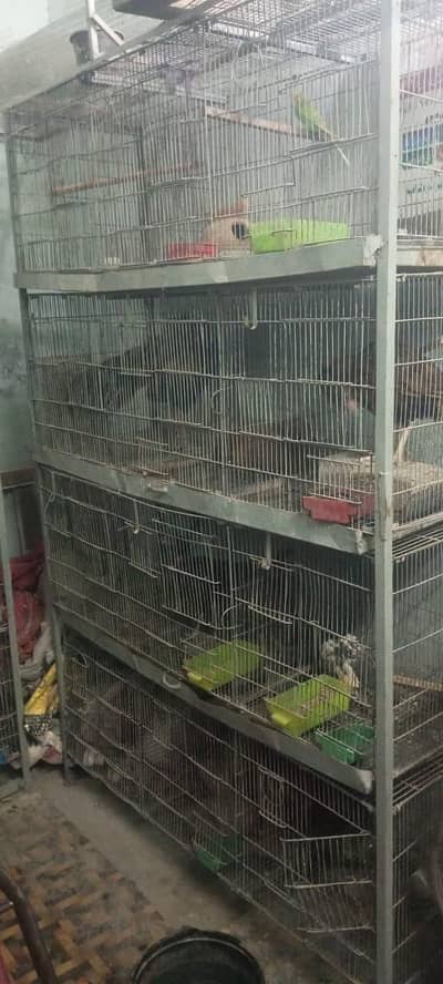 12 Portion Cage For Sale