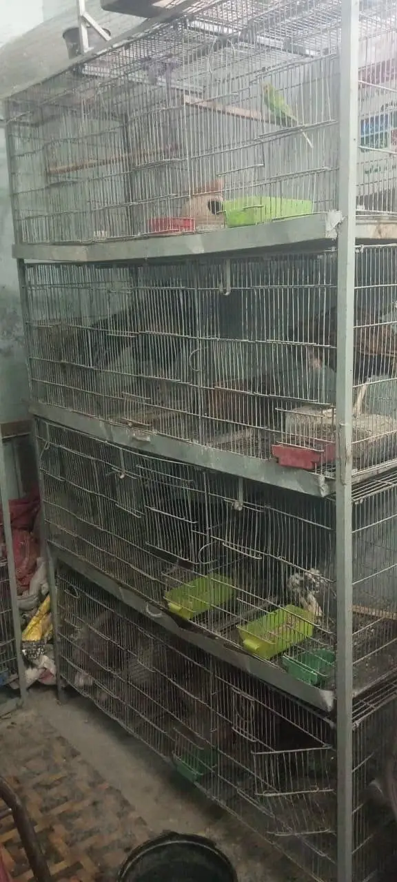 12 Portion Cage For Sale