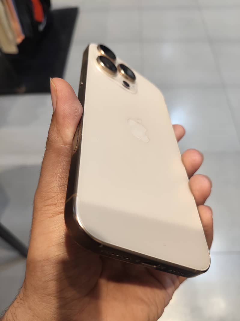 Apple iPhone 16 Pro Max 1