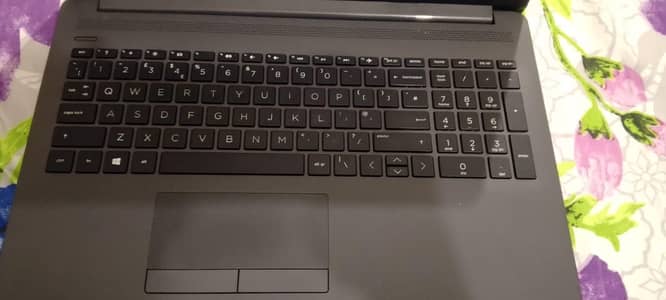 HP 255 G7
