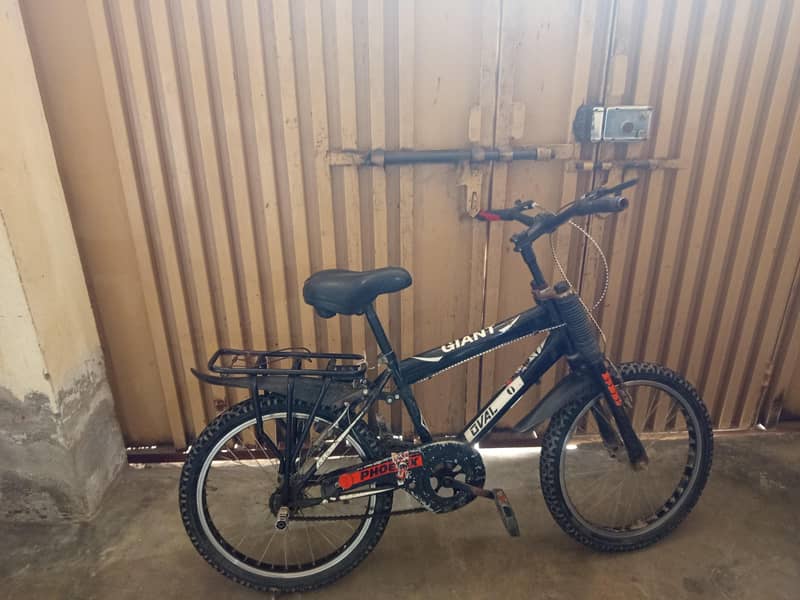 Bicycle 0