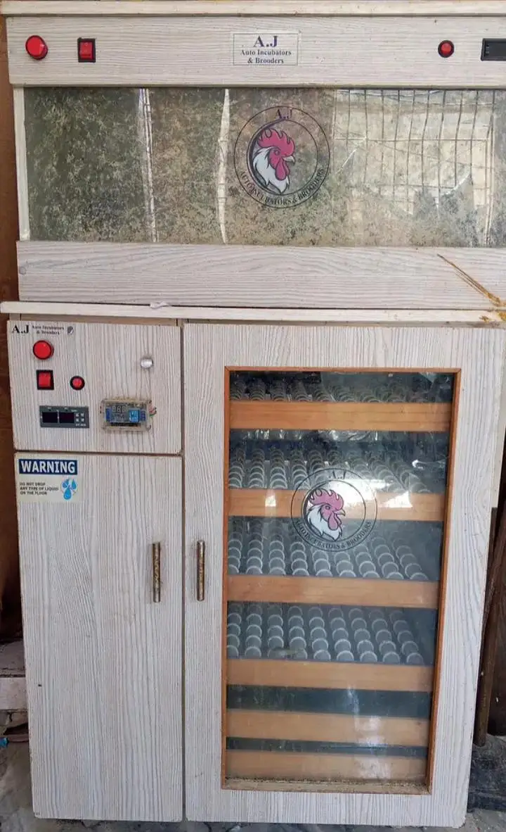 Fully Automatic Incubator for Sale