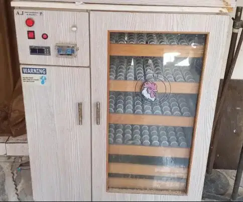 Fully Automatic Incubator for Sale — photo 3