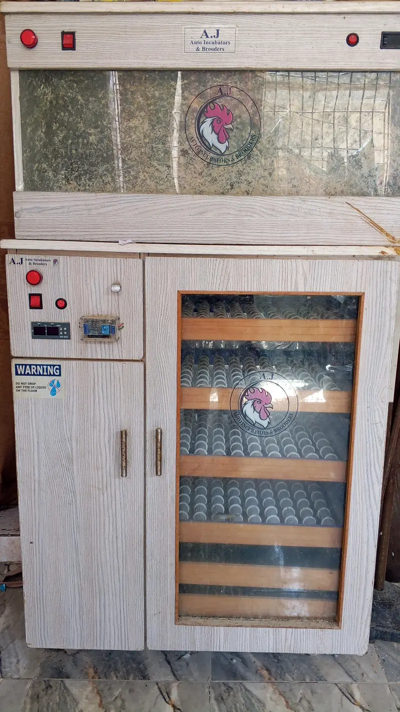 Fully Automatic Incubator for Sale — photo 4