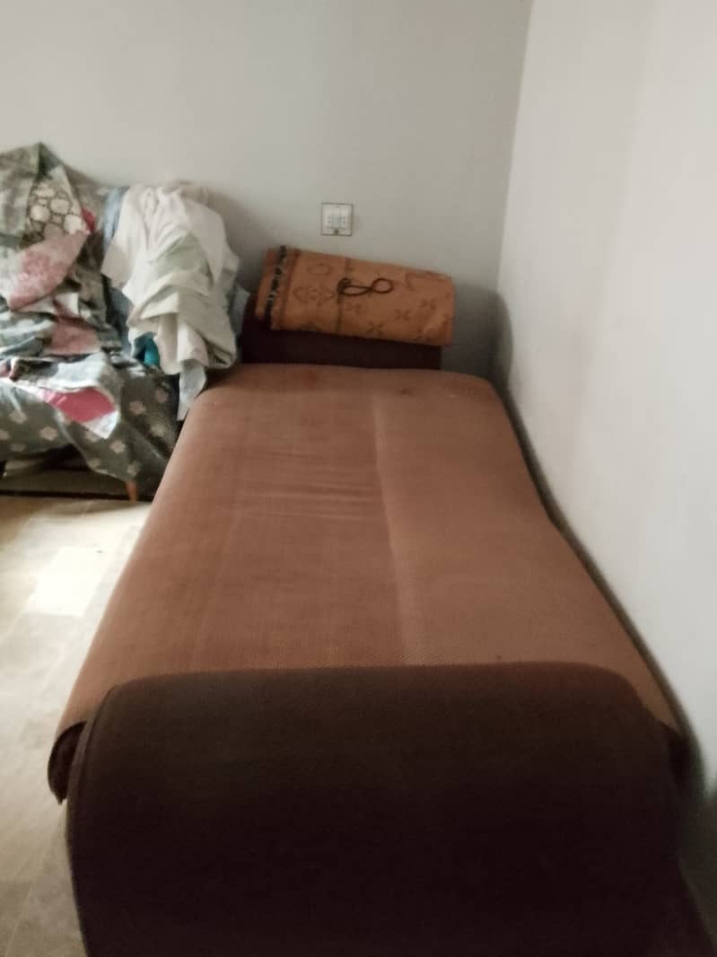 3 year old sofa combed 1