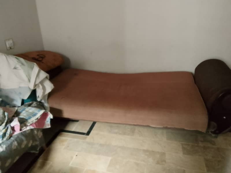 3 year old sofa combed 2