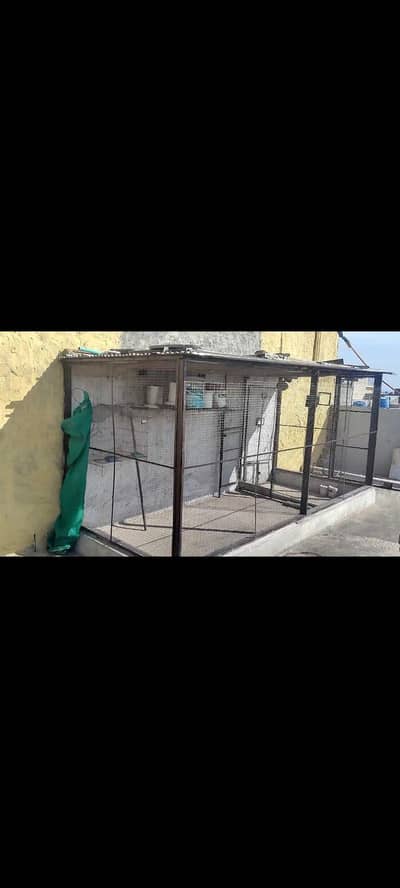 12 x 06 ft Iron Cage for Birds