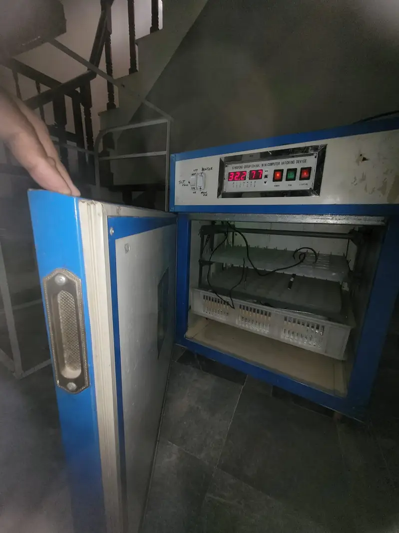 fully computerize incubator for sale — photo 3