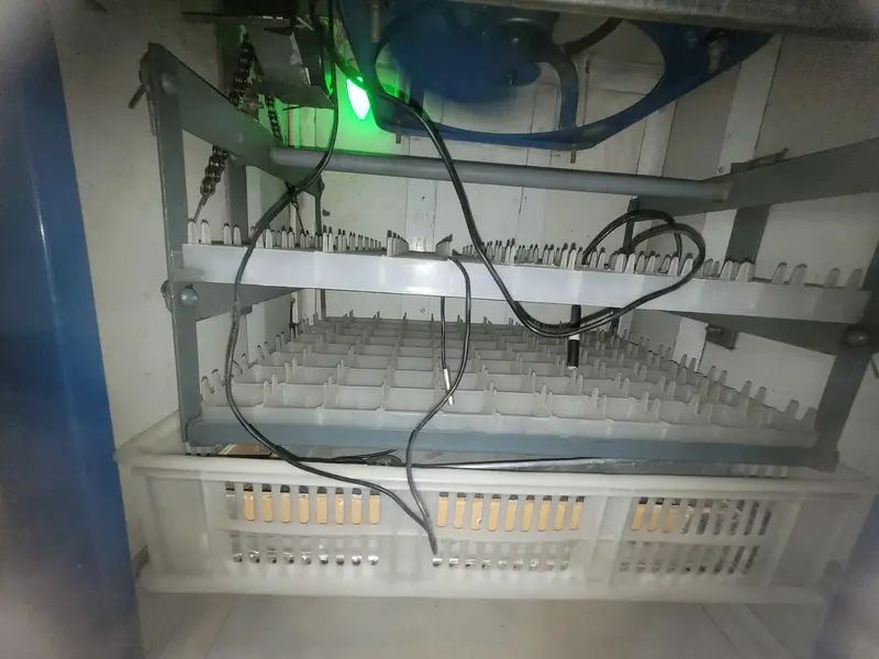 fully computerize incubator for sale — photo 5