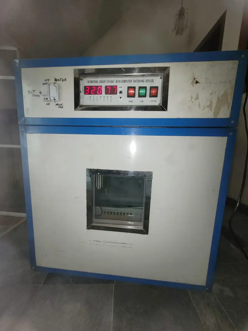 fully computerize incubator for sale — photo 6
