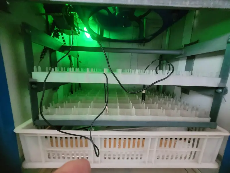 fully computerize incubator for sale — photo 7