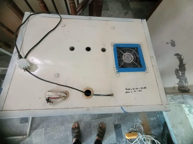 fully computerize incubator for sale — photo 8