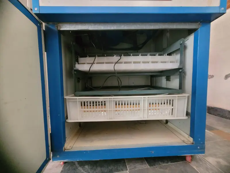 fully computerize incubator for sale — photo 9