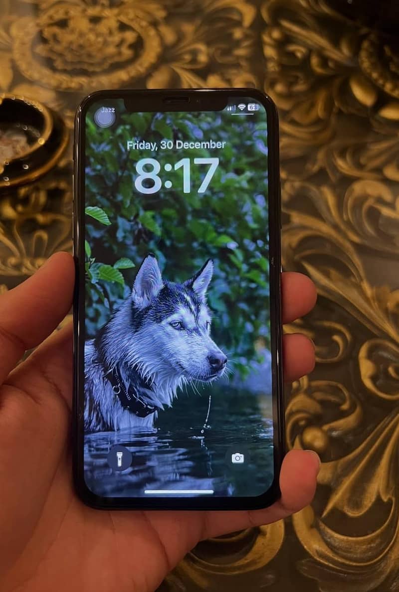 Apple iPhone X 1