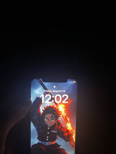 Apple iPhone X