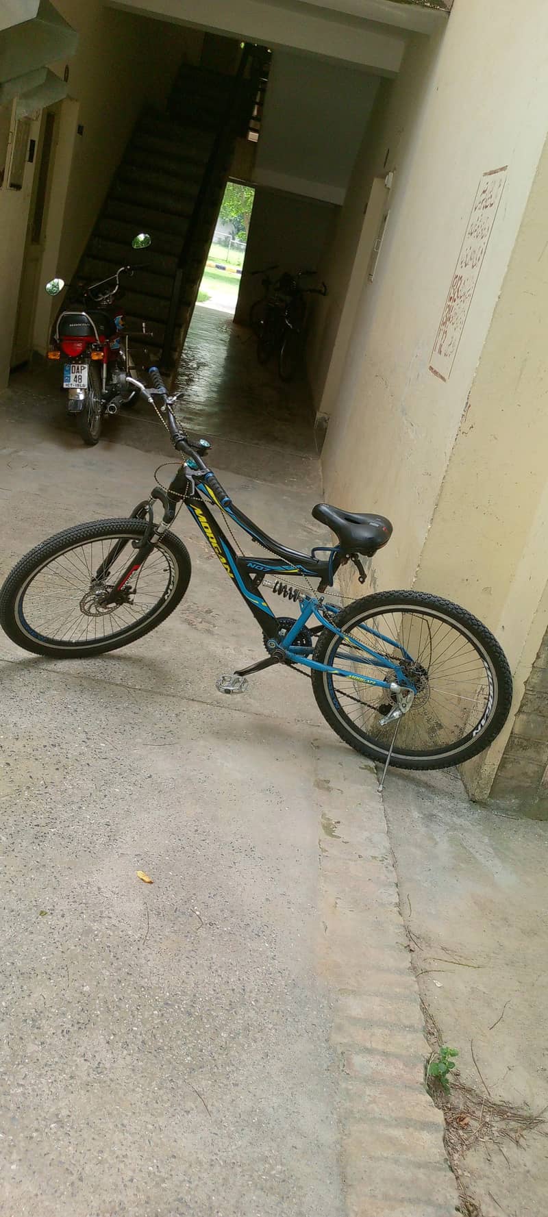 morgan cycle 0