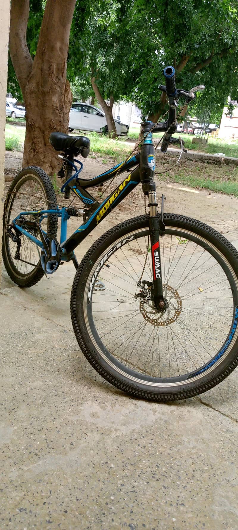 morgan cycle 3