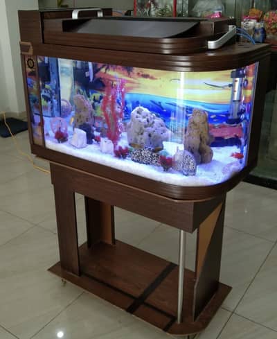 Aquarium imported