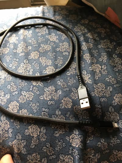 Apple landline
