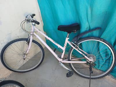 bicycal