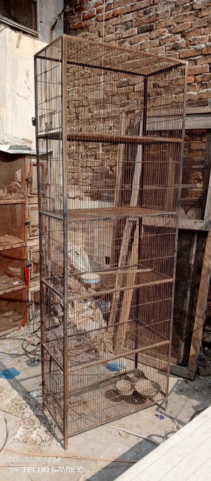 iron cages — photo 2