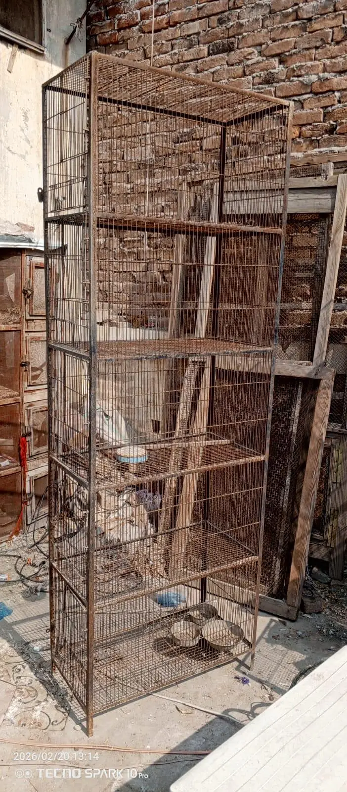 iron cages — photo 5