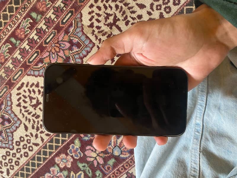 Apple iPhone 12 Pro Max 6