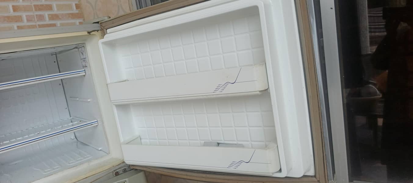 fridge with choki 2