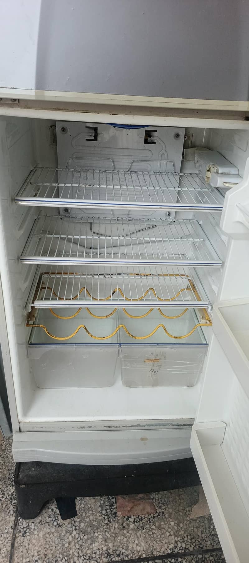 fridge with choki 5