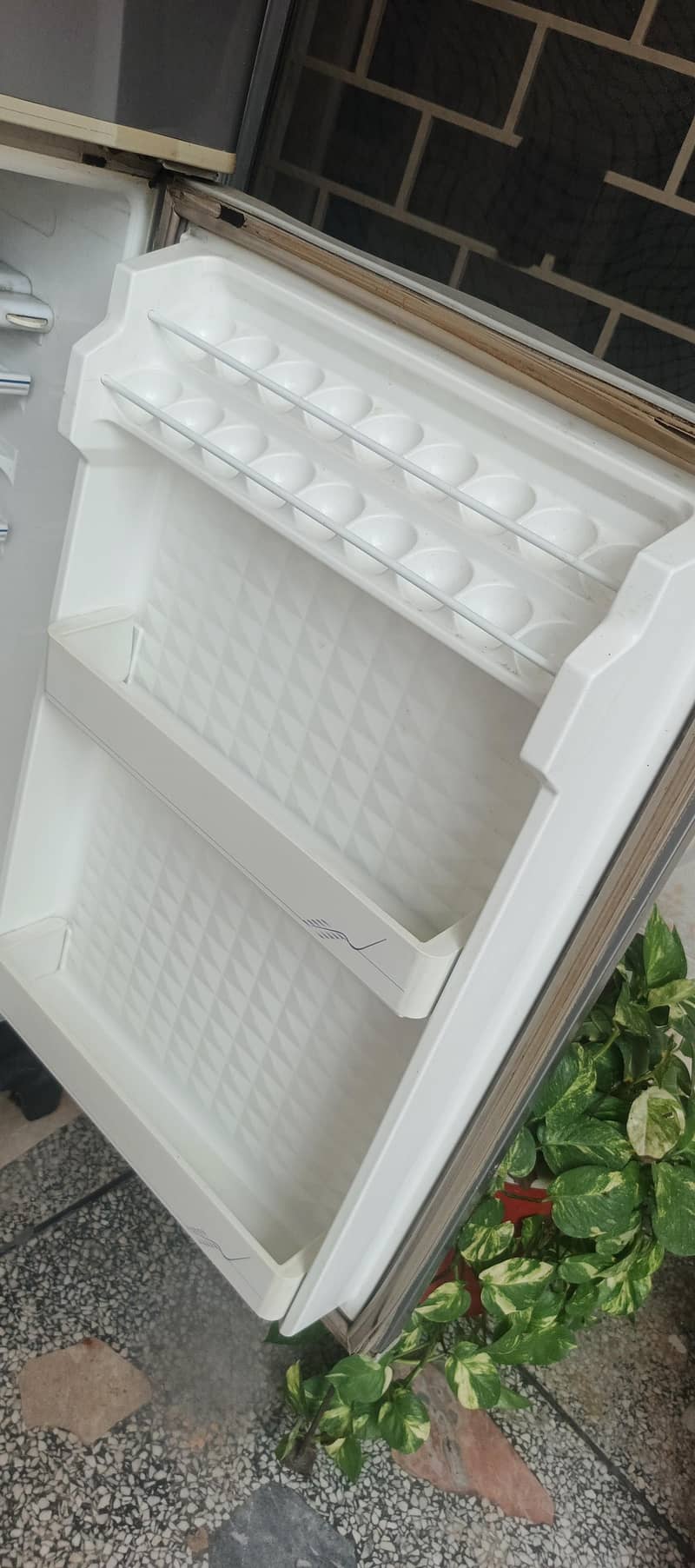 fridge with choki 8