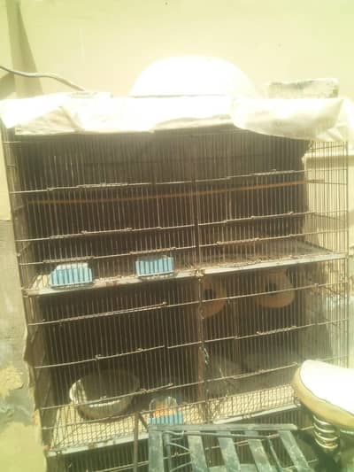 iron cage urgent sale