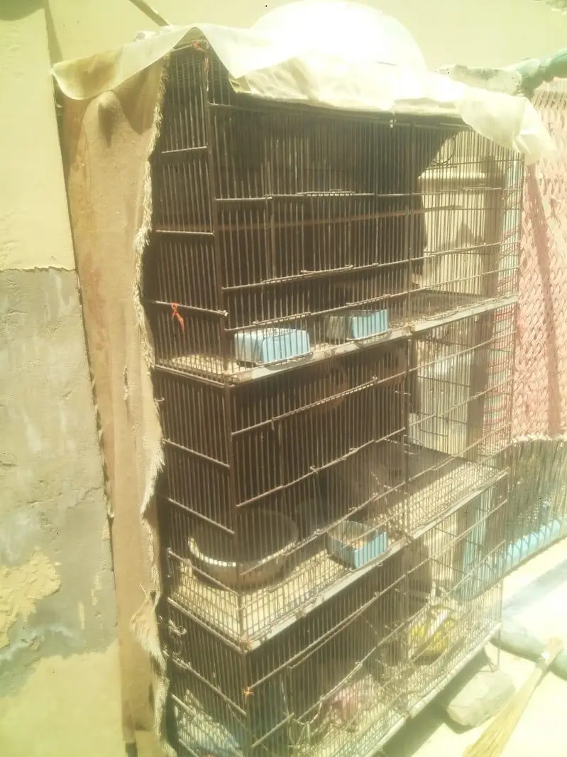 iron cage urgent sale — photo 2