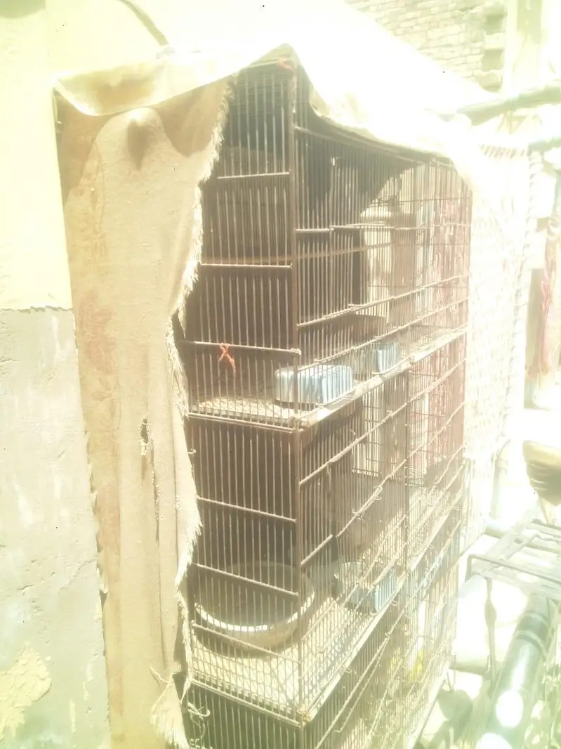 iron cage urgent sale — photo 3