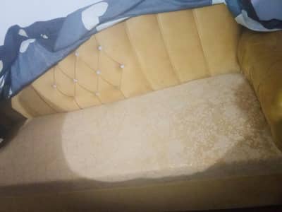 sofa (couch )