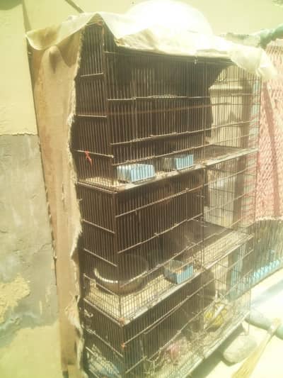 iron cage 10/10 condition