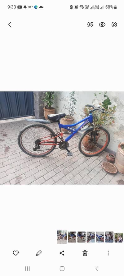Falcon Cycle With Gear